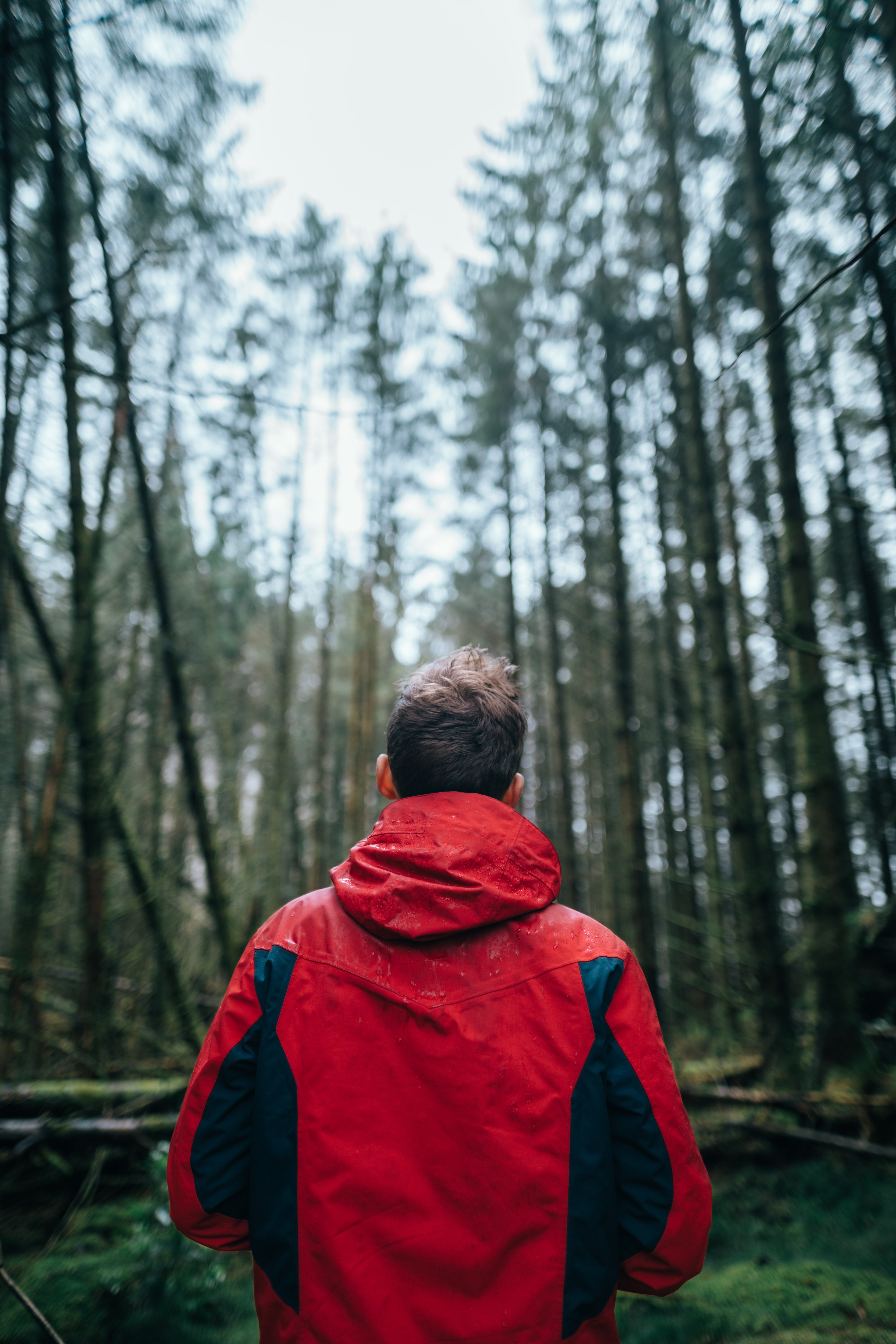 Man standing in the woods.